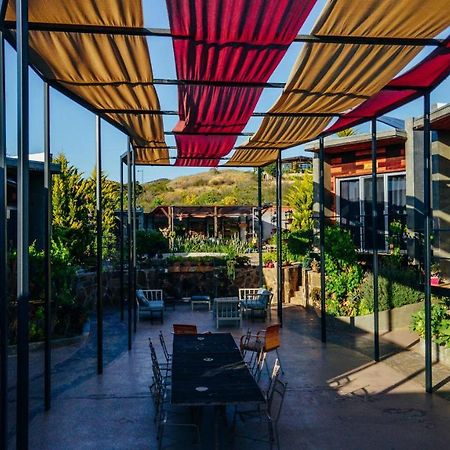Entre Vides Valle De Guadalupe Εξωτερικό φωτογραφία