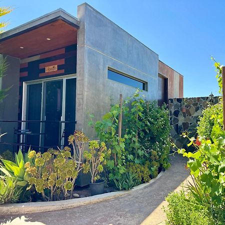 Entre Vides Valle De Guadalupe Εξωτερικό φωτογραφία