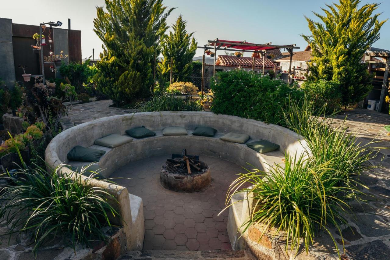 Entre Vides Valle De Guadalupe Εξωτερικό φωτογραφία