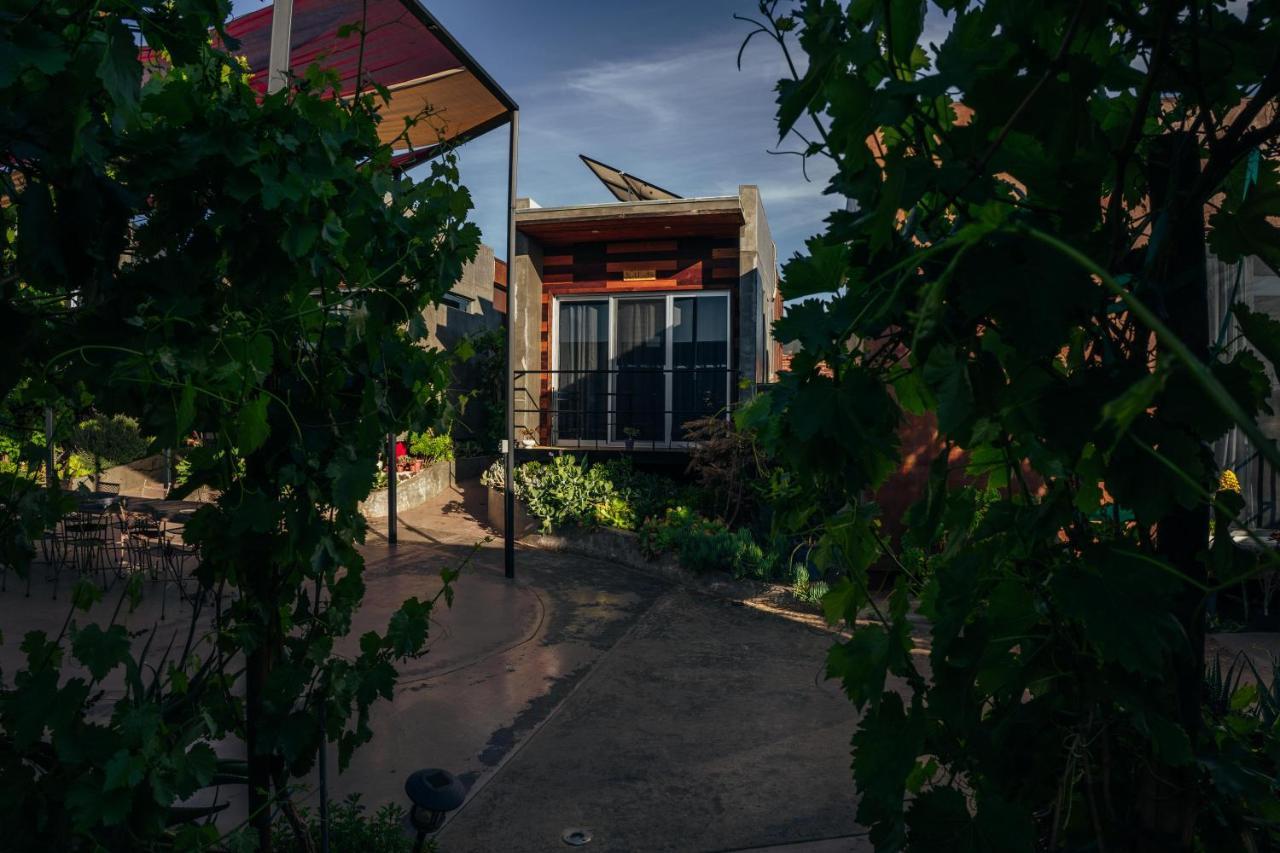 Entre Vides Valle De Guadalupe Εξωτερικό φωτογραφία