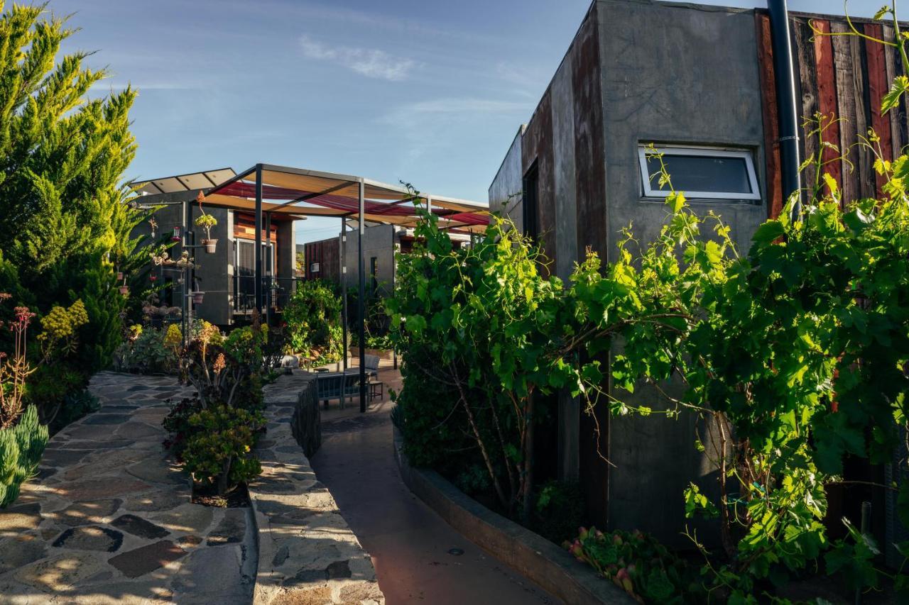 Entre Vides Valle De Guadalupe Εξωτερικό φωτογραφία