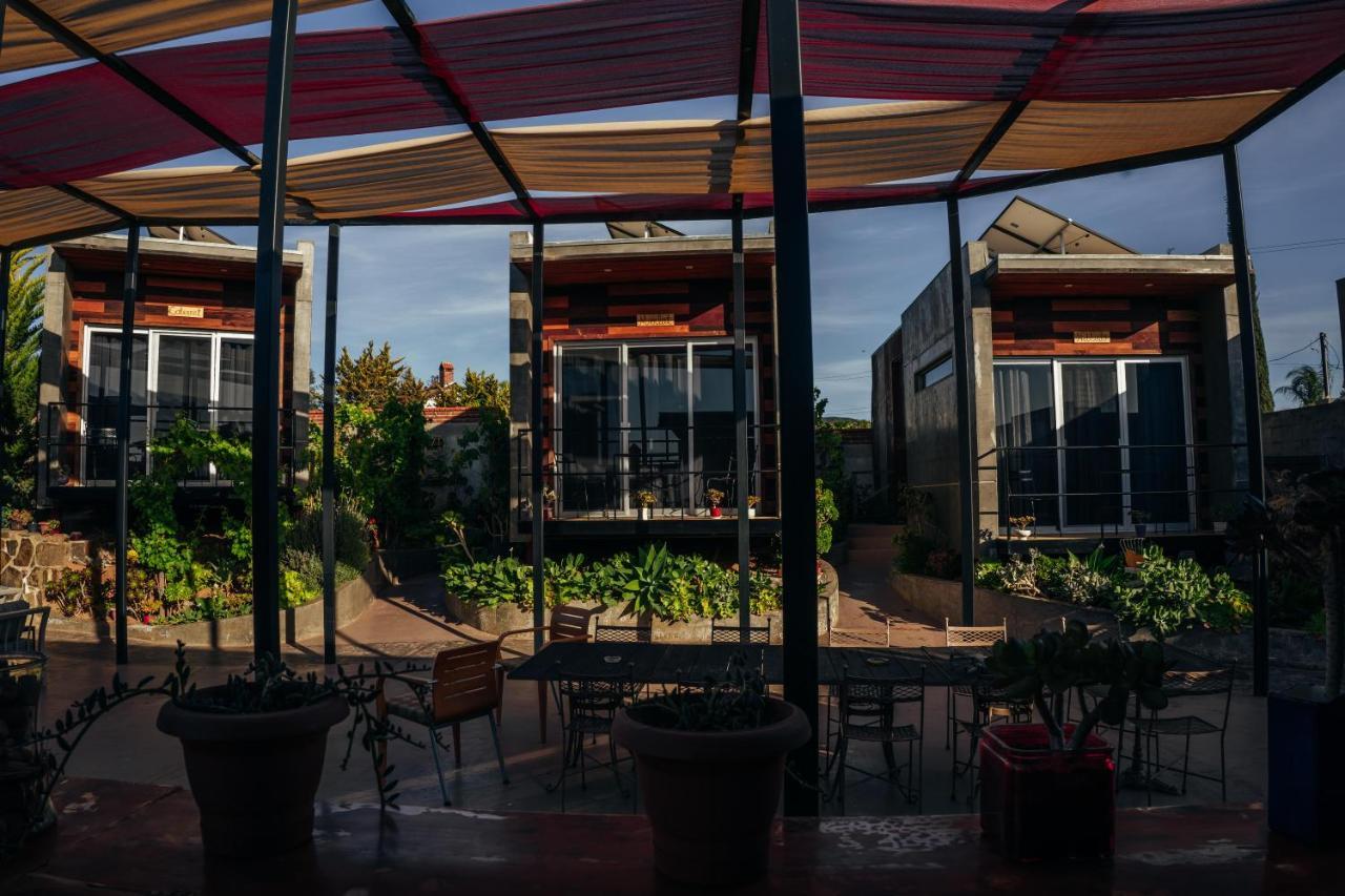Entre Vides Valle De Guadalupe Εξωτερικό φωτογραφία