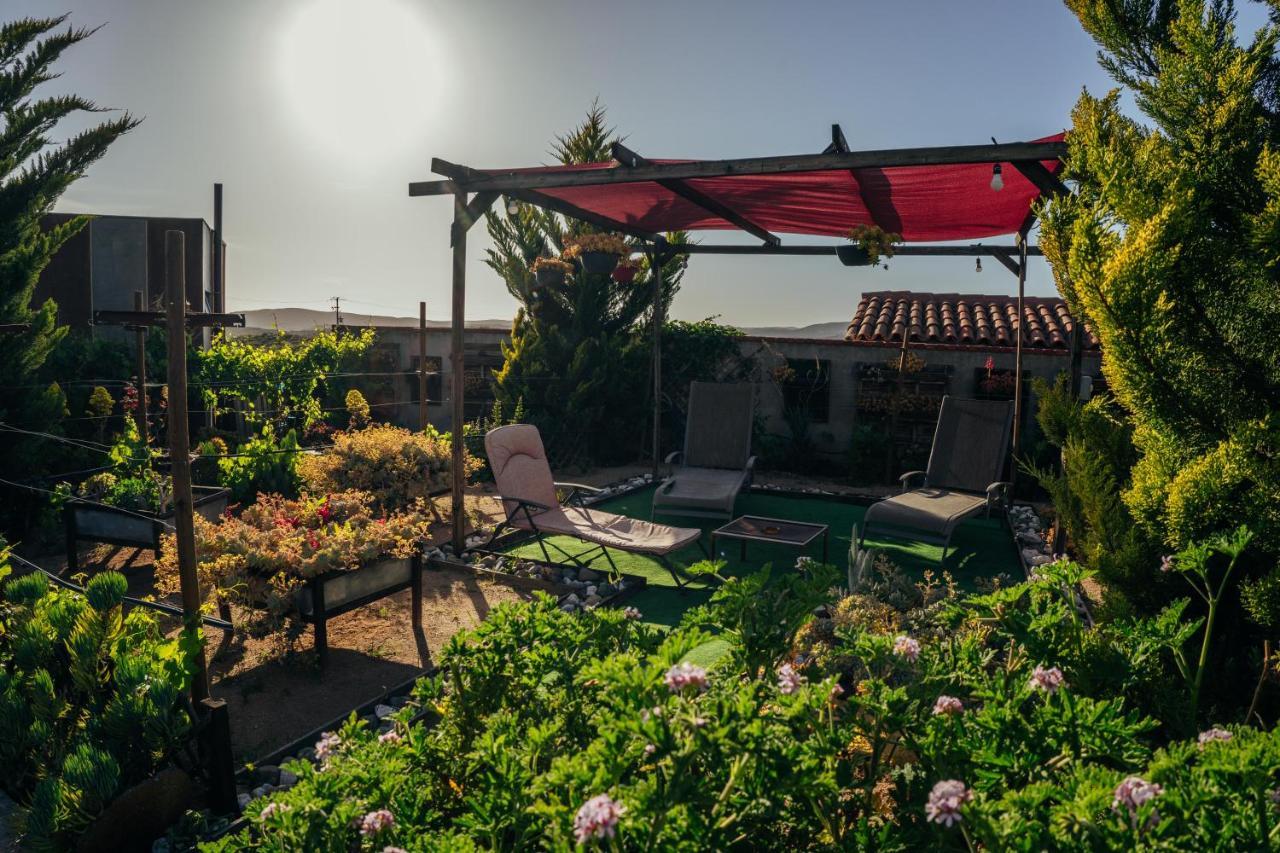 Entre Vides Valle De Guadalupe Εξωτερικό φωτογραφία