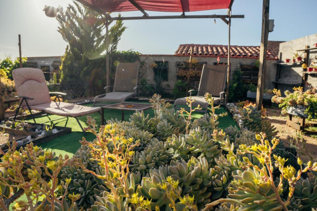 Entre Vides Valle De Guadalupe Εξωτερικό φωτογραφία
