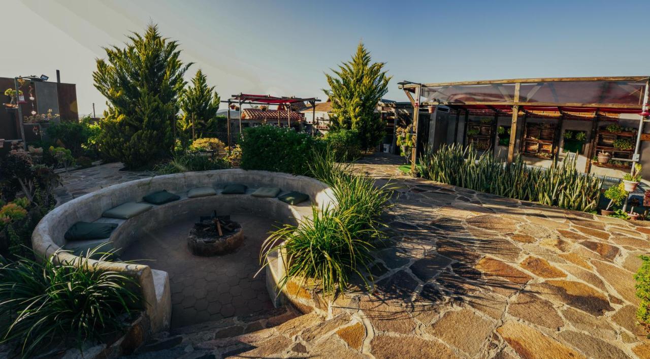 Entre Vides Valle De Guadalupe Εξωτερικό φωτογραφία