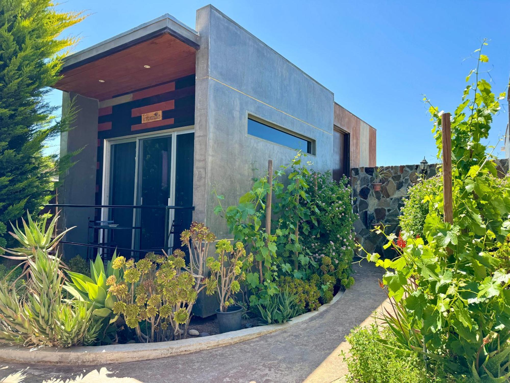 Entre Vides Valle De Guadalupe Εξωτερικό φωτογραφία