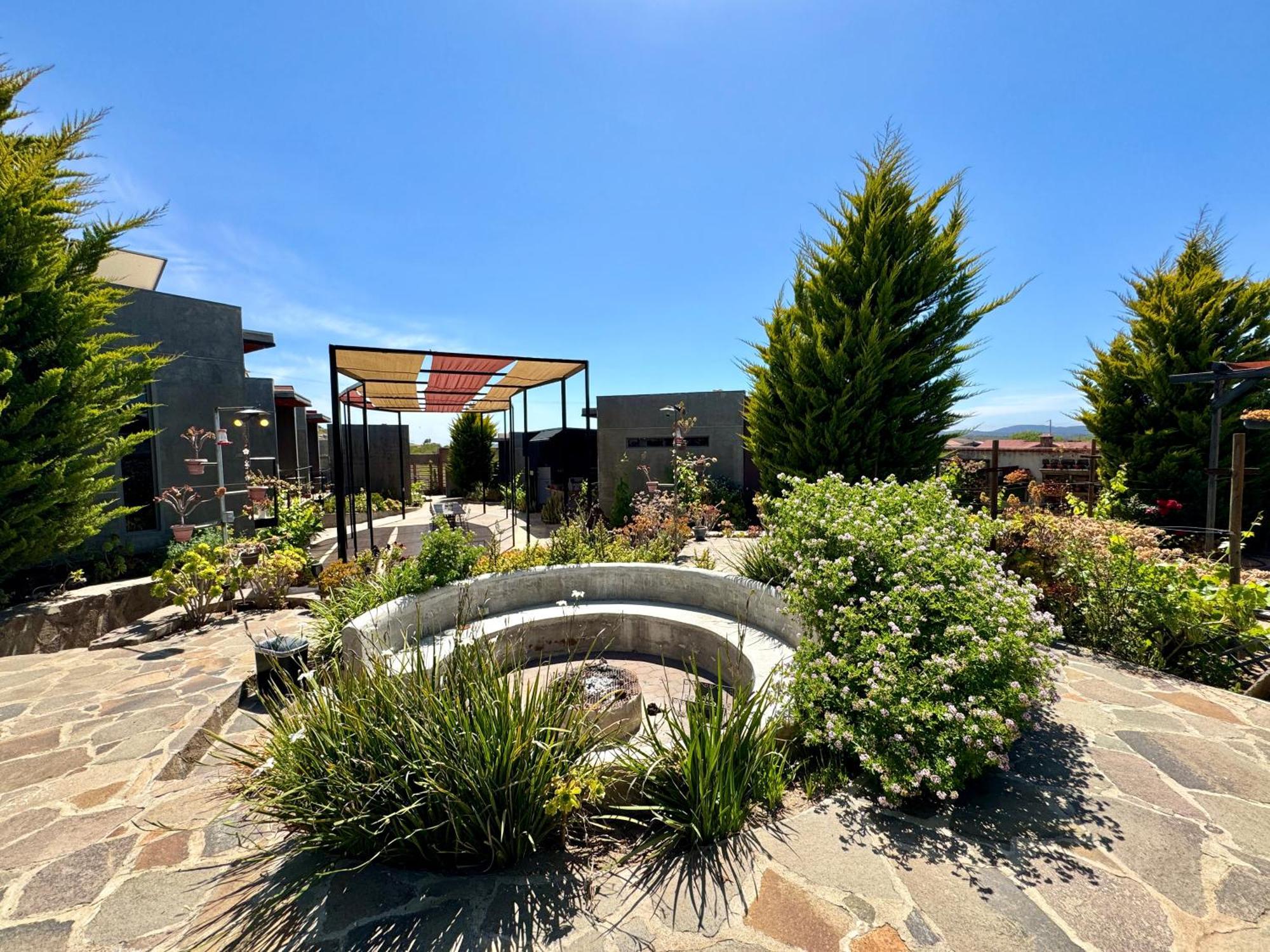 Entre Vides Valle De Guadalupe Εξωτερικό φωτογραφία
